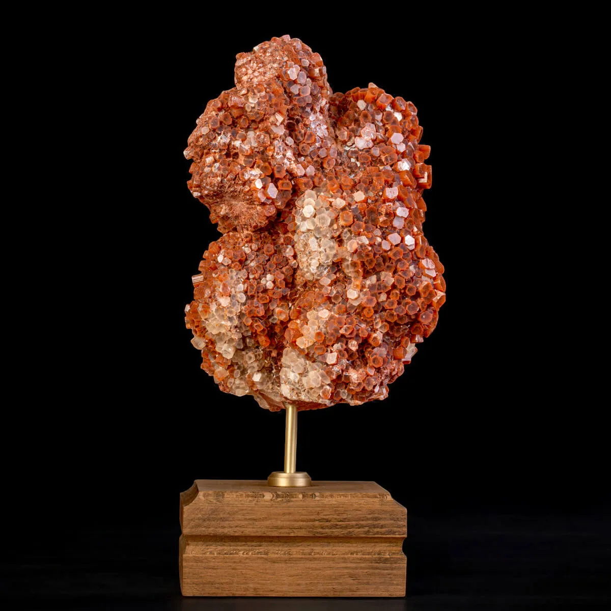 Aragonite Stellata del Marocco – Scultura Naturale su Base.