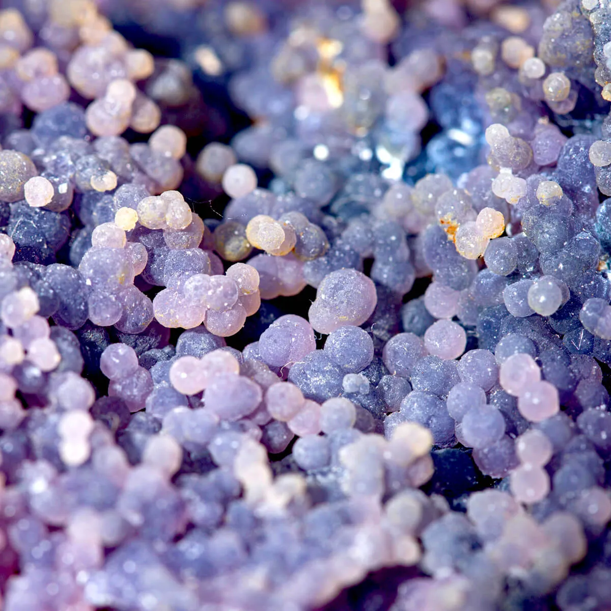 Sfera in Grape Agate Botroidale – Mamuju, Sulawesi