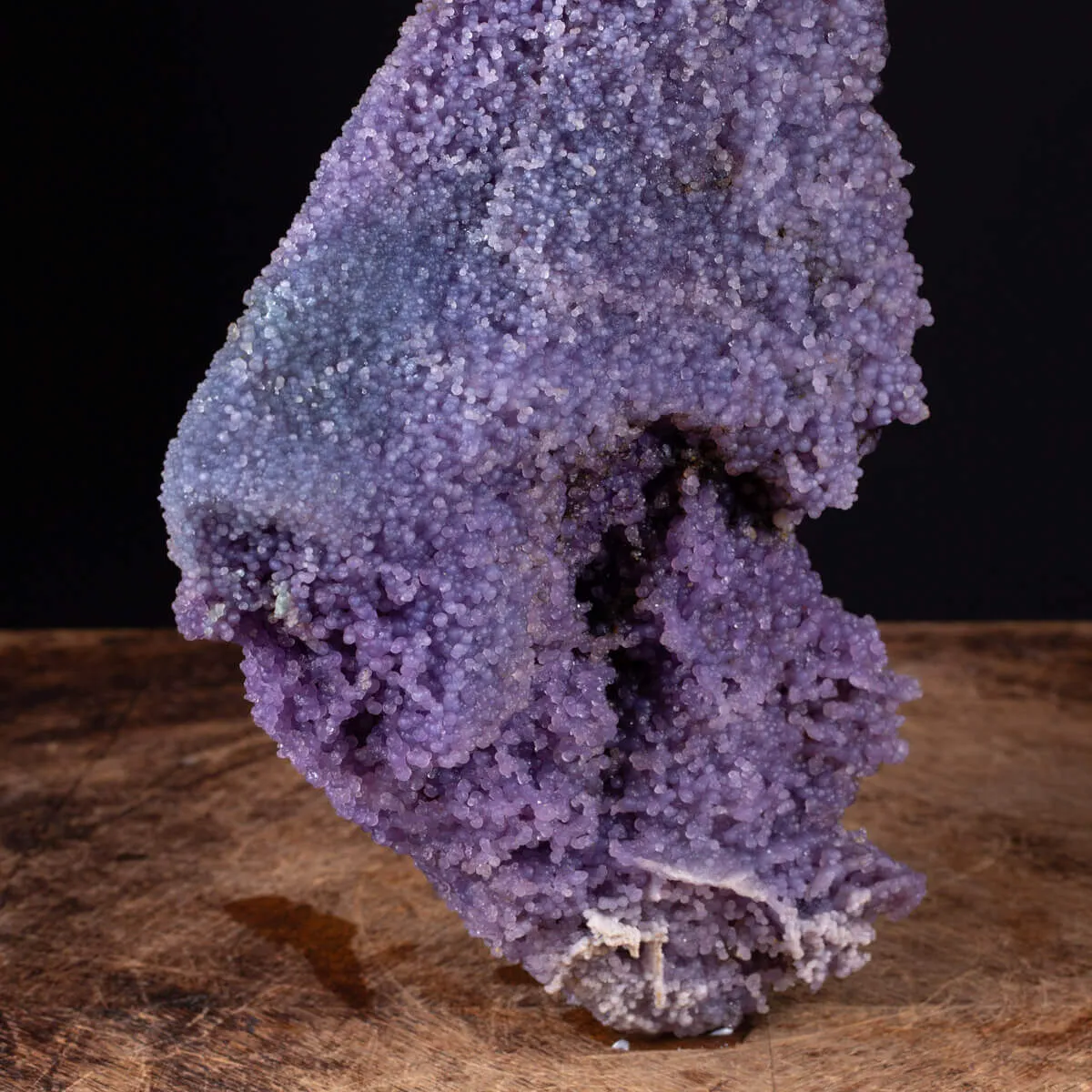 straordinaria formazione di Calcedonio Viola