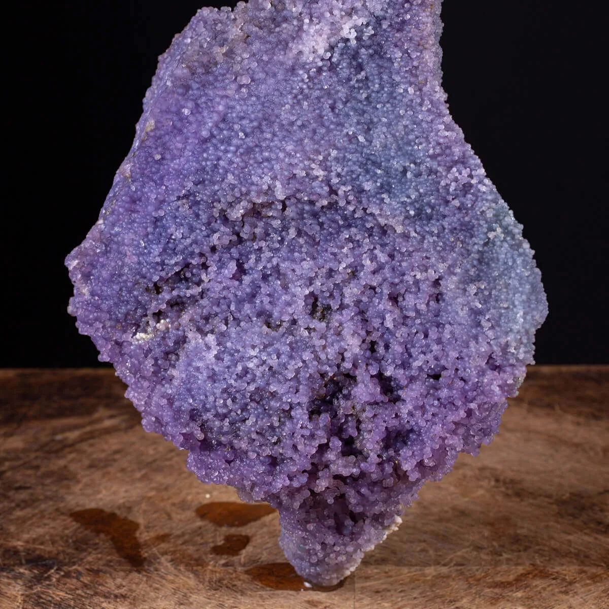 straordinaria formazione di Calcedonio Viola