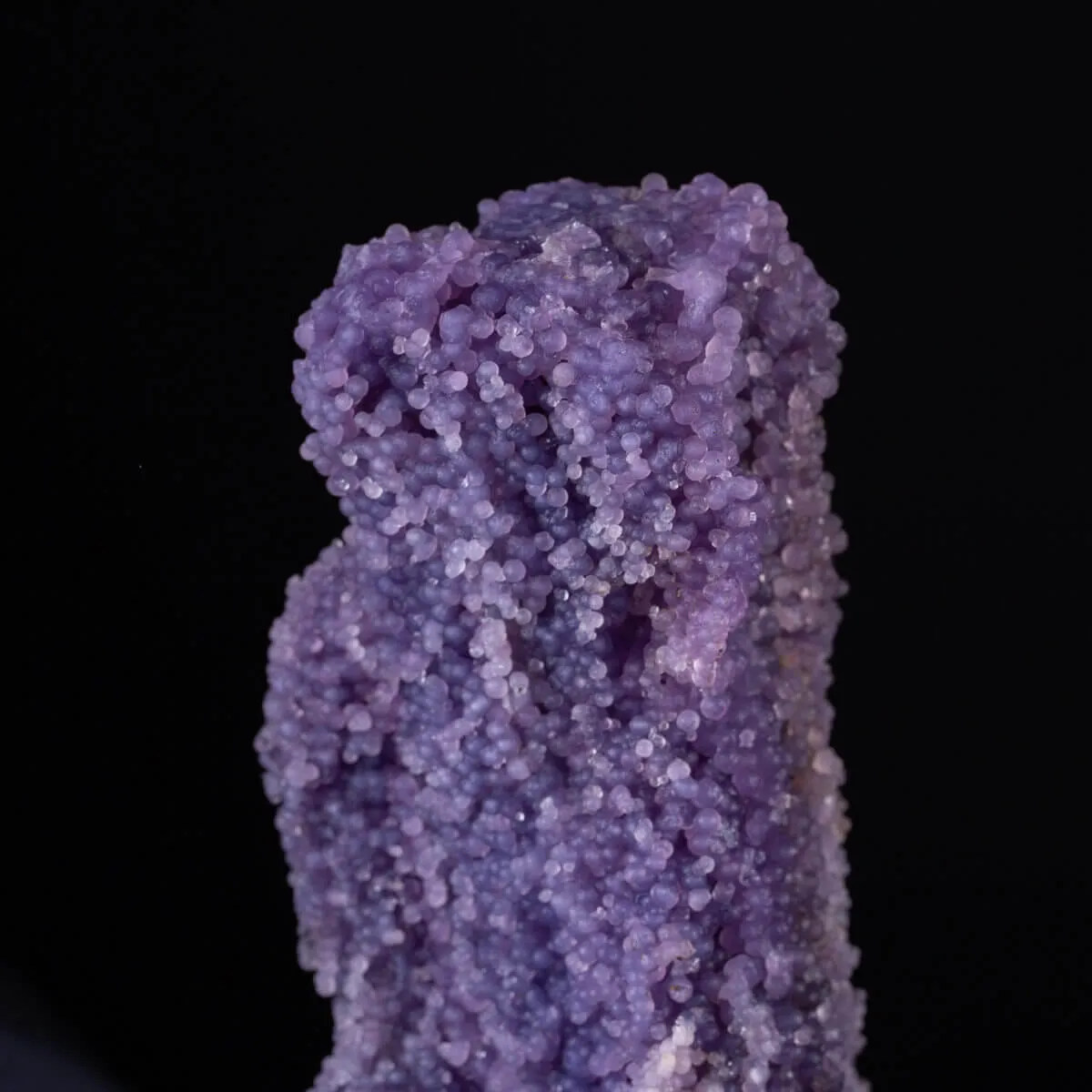 straordinaria formazione di Calcedonio Viola