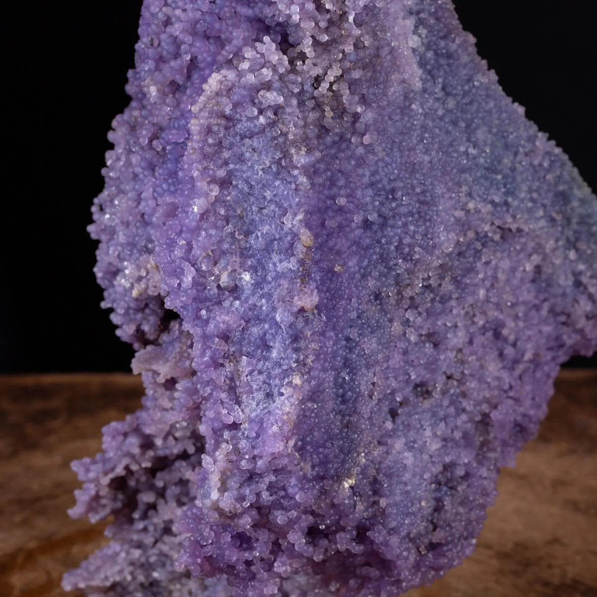 straordinaria formazione di Calcedonio Viola
