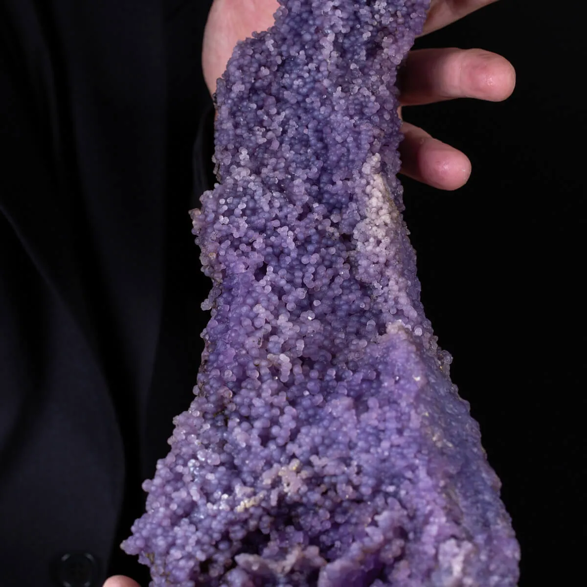 straordinaria formazione di Calcedonio Viola