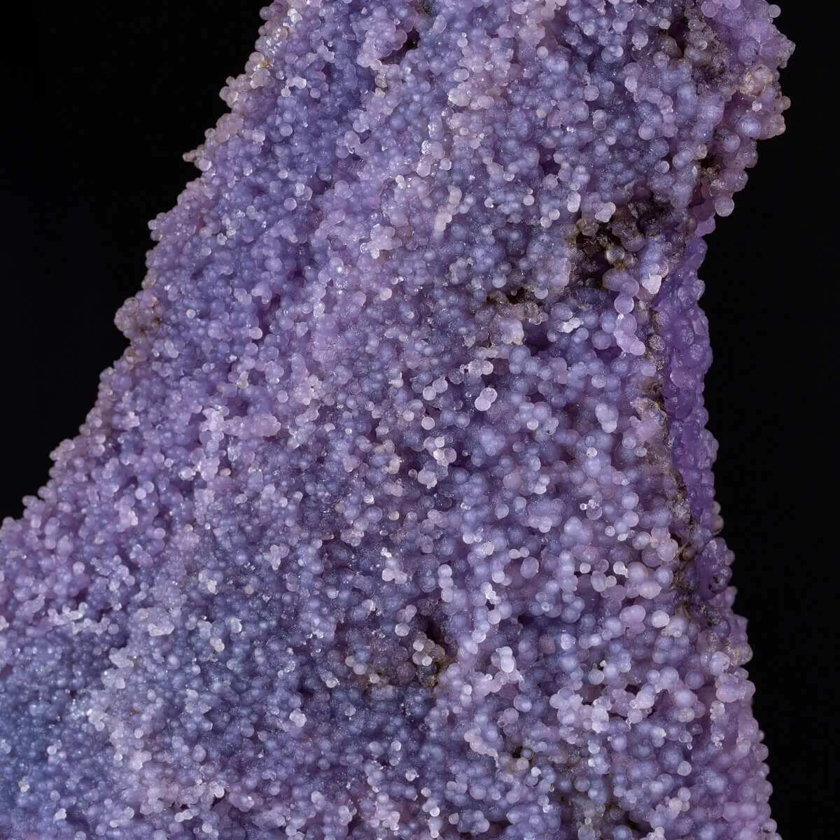 straordinaria formazione di Calcedonio Viola