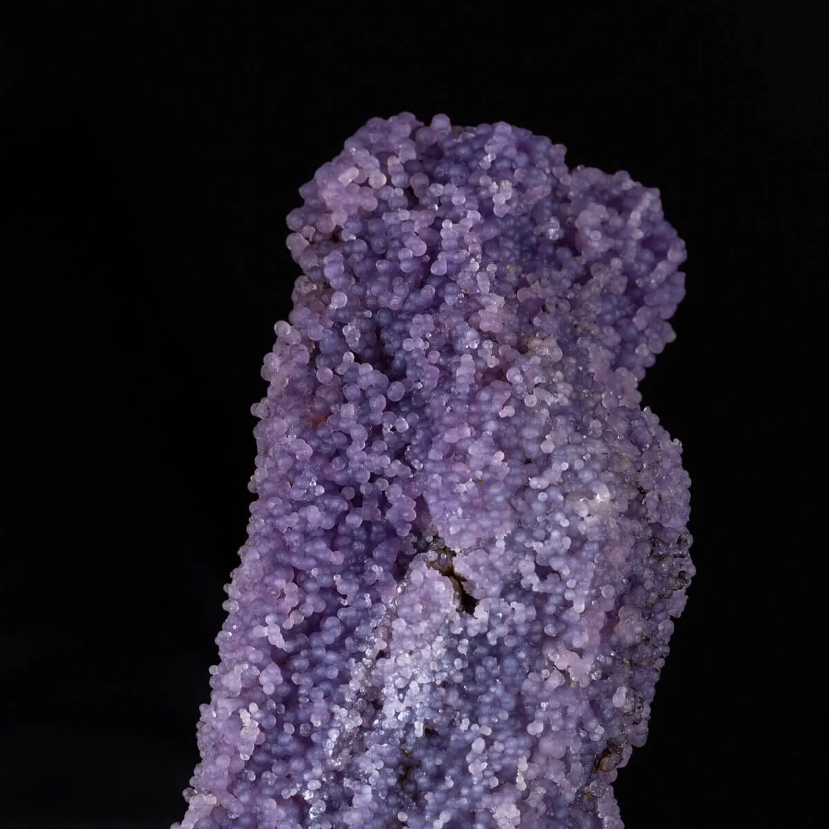 straordinaria formazione di Calcedonio Viola