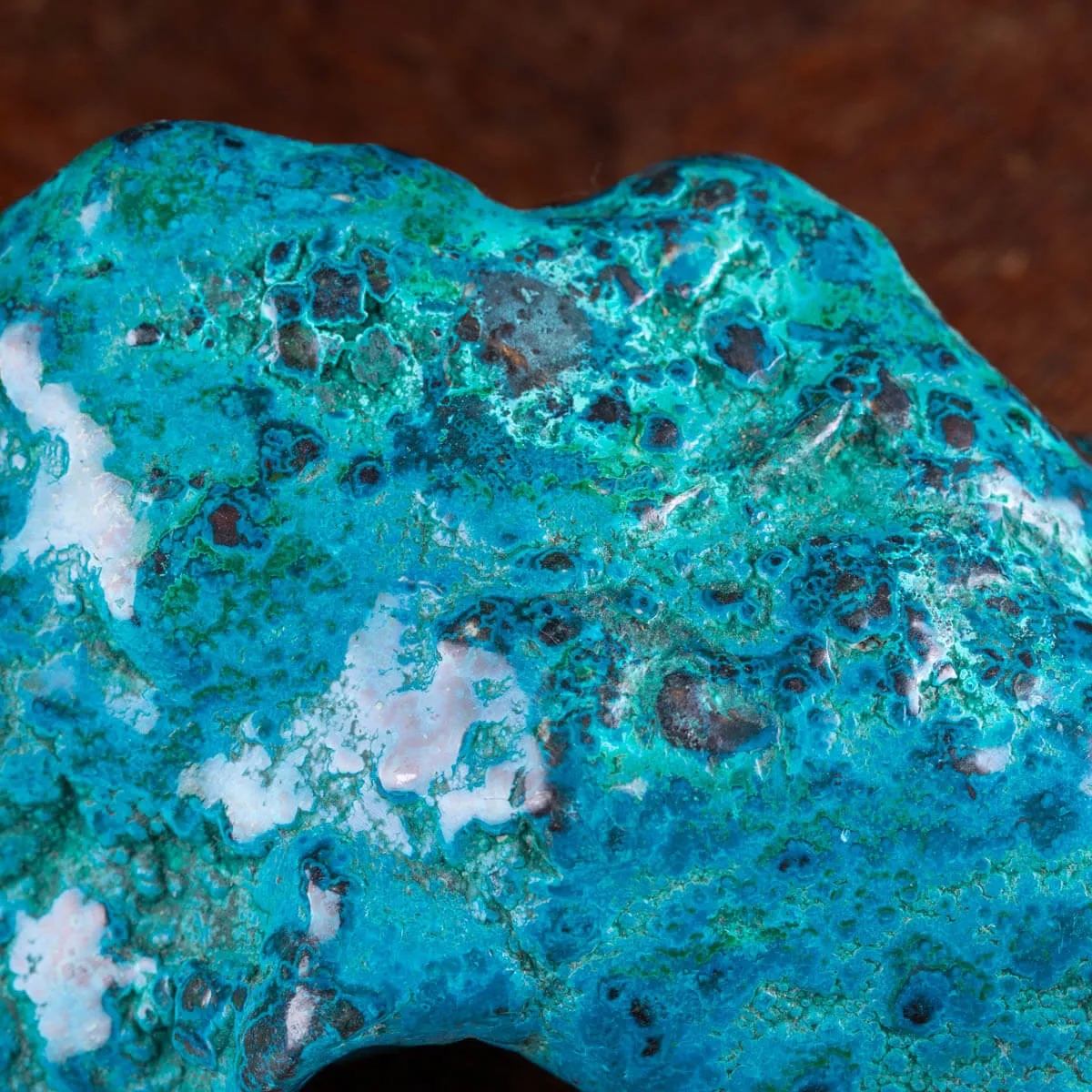 Campione di Crisocolla e Malachite