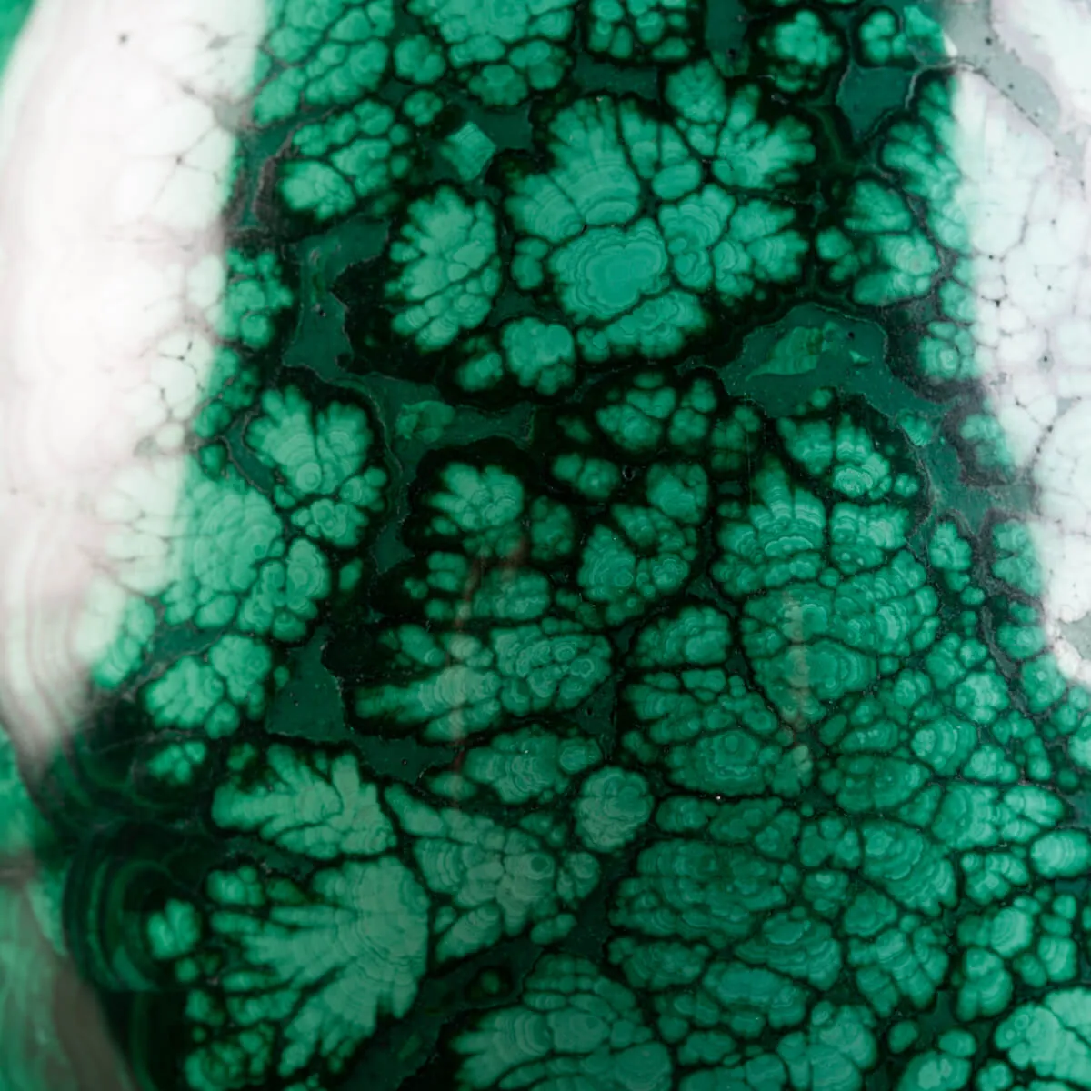 Uovo in Malachite