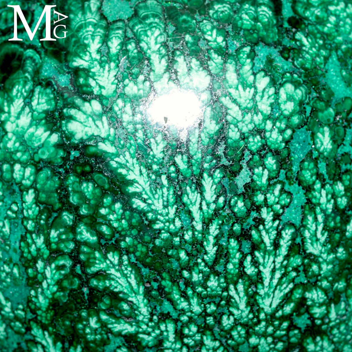 Sfera Malachite Naturale - Struttura Botroidale e Cavità Geodica.