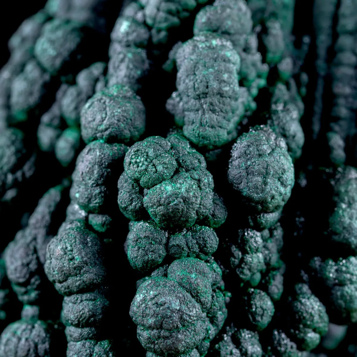 Eccezionale Malachite Botroidale con Crescita a Stalattiti.