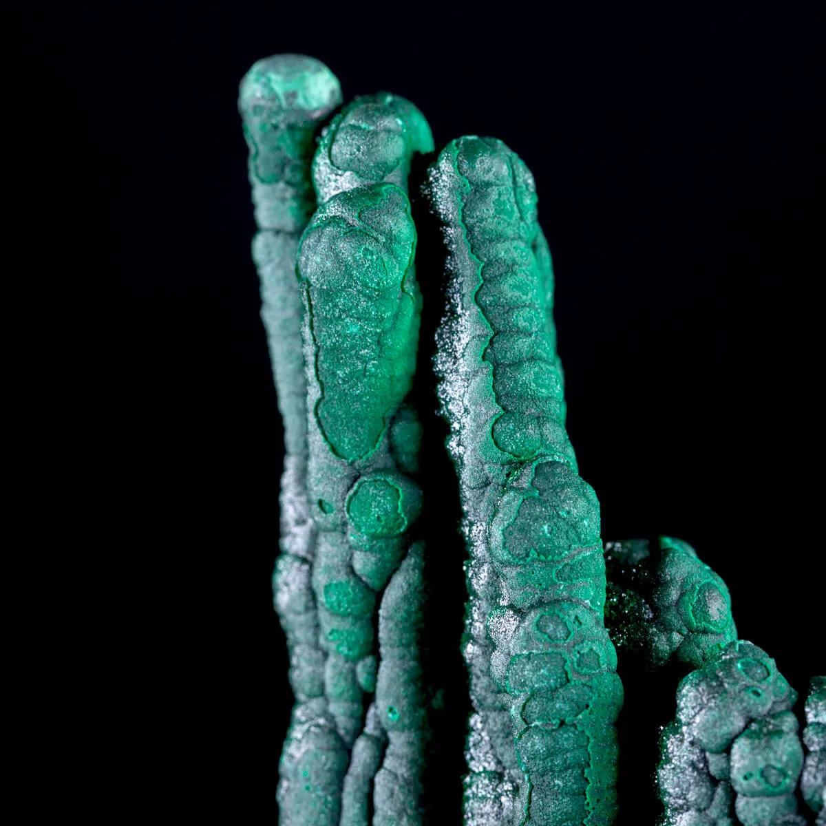 Eccezionale Malachite Botroidale con Crescita a Stalattiti.