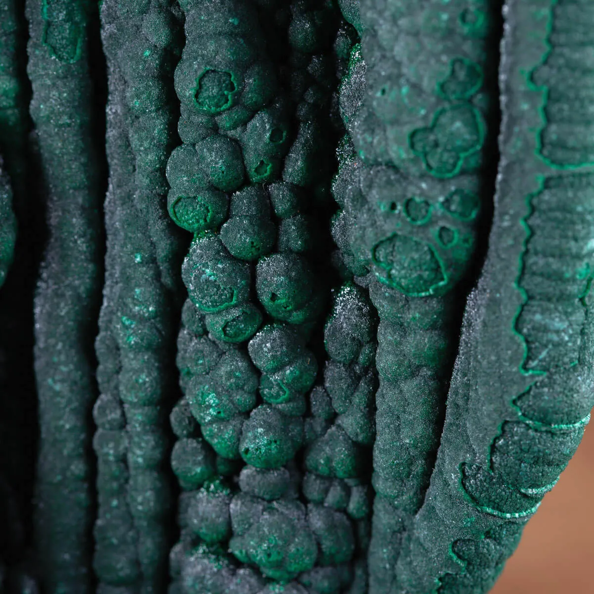 Eccezionale Malachite Botroidale con Crescita a Stalattiti.