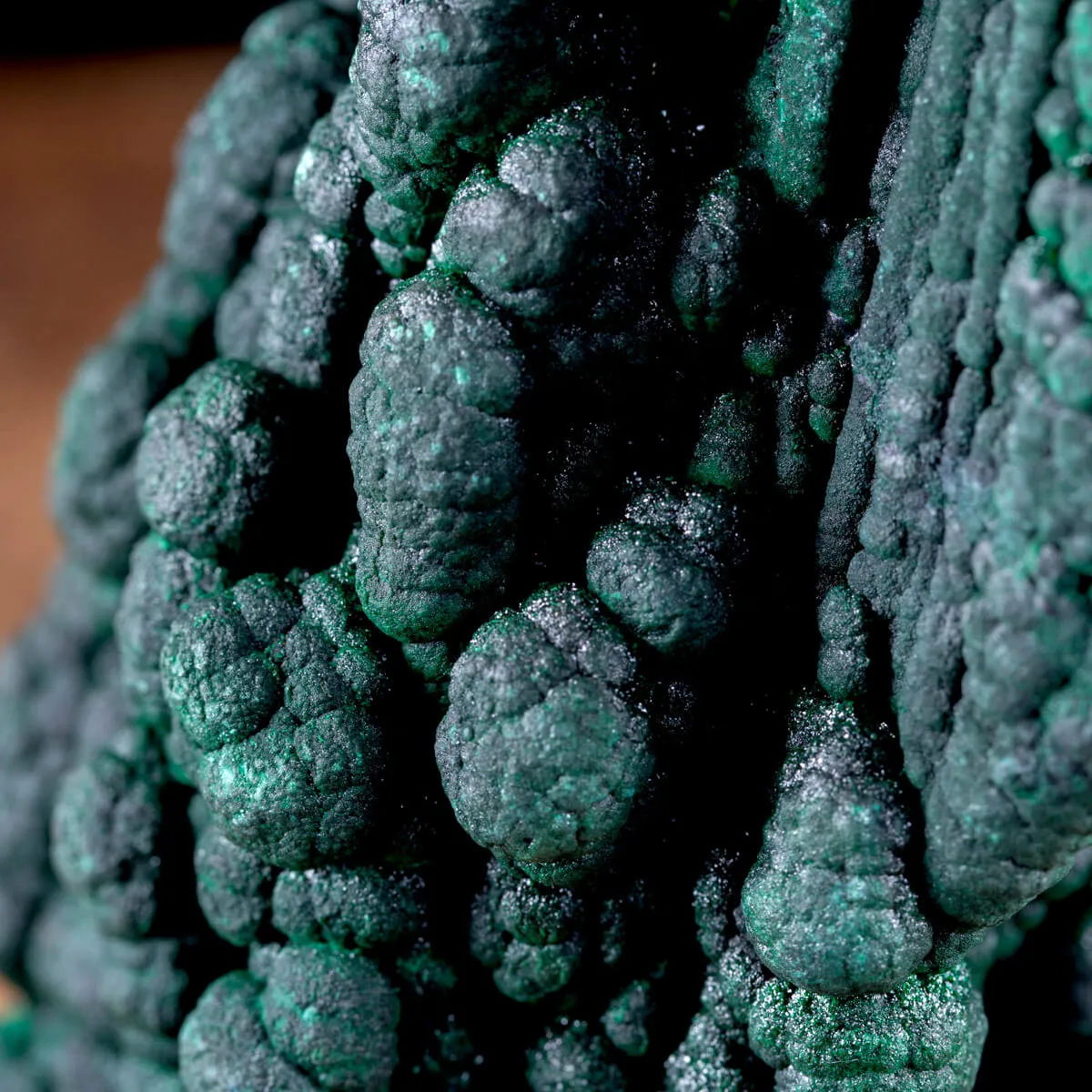 Eccezionale Malachite Botroidale con Crescita a Stalattiti.