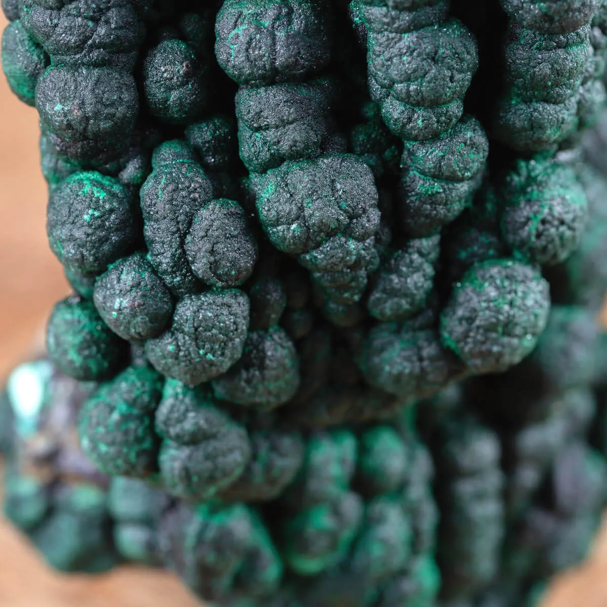 Eccezionale Malachite Botroidale con Crescita a Stalattiti.