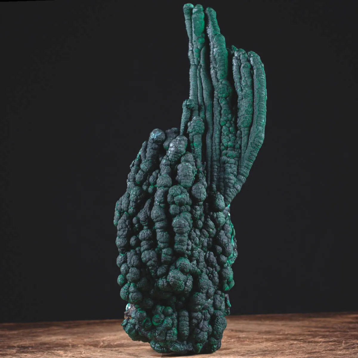Eccezionale Malachite Botroidale con Crescita a Stalattiti.