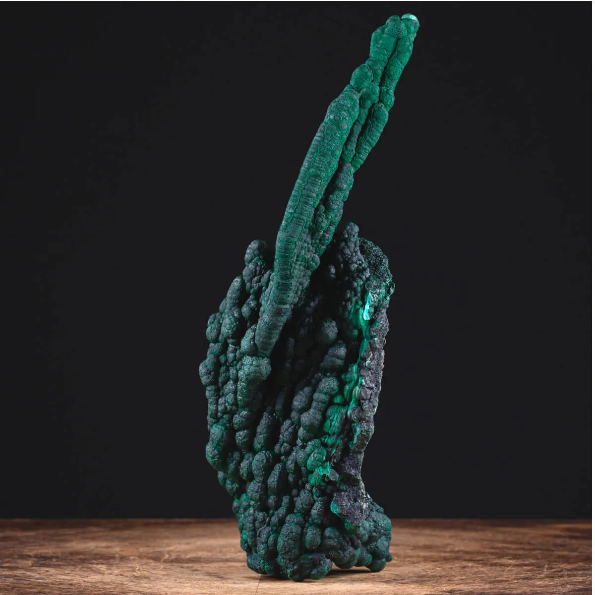 Eccezionale Malachite Botroidale con Crescita a Stalattiti.