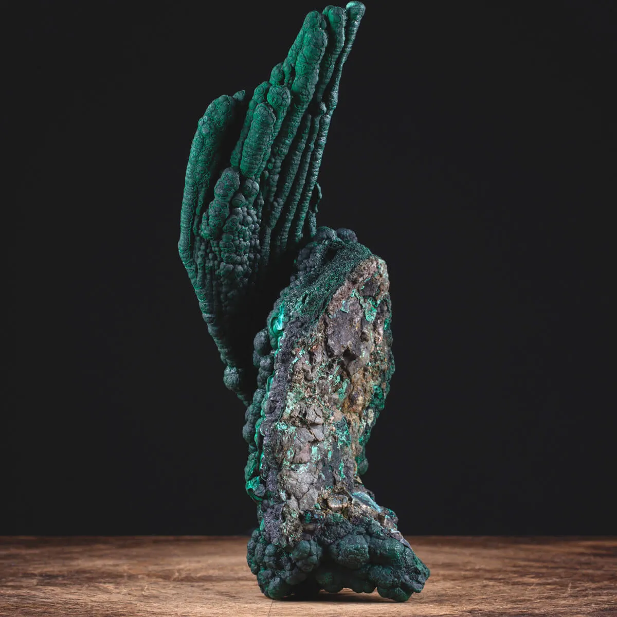 Eccezionale Malachite Botroidale con Crescita a Stalattiti.