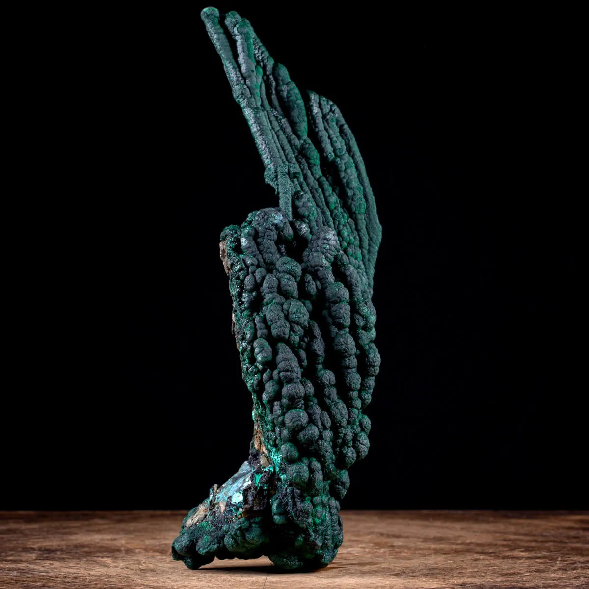 Eccezionale Malachite Botroidale con Crescita a Stalattiti.