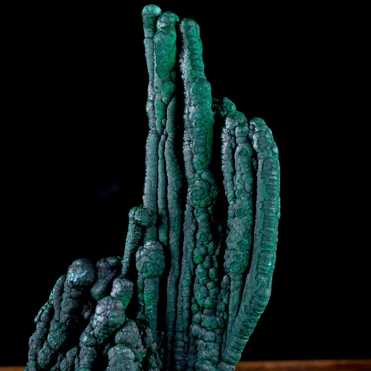 Eccezionale Malachite Botroidale con Crescita a Stalattiti.