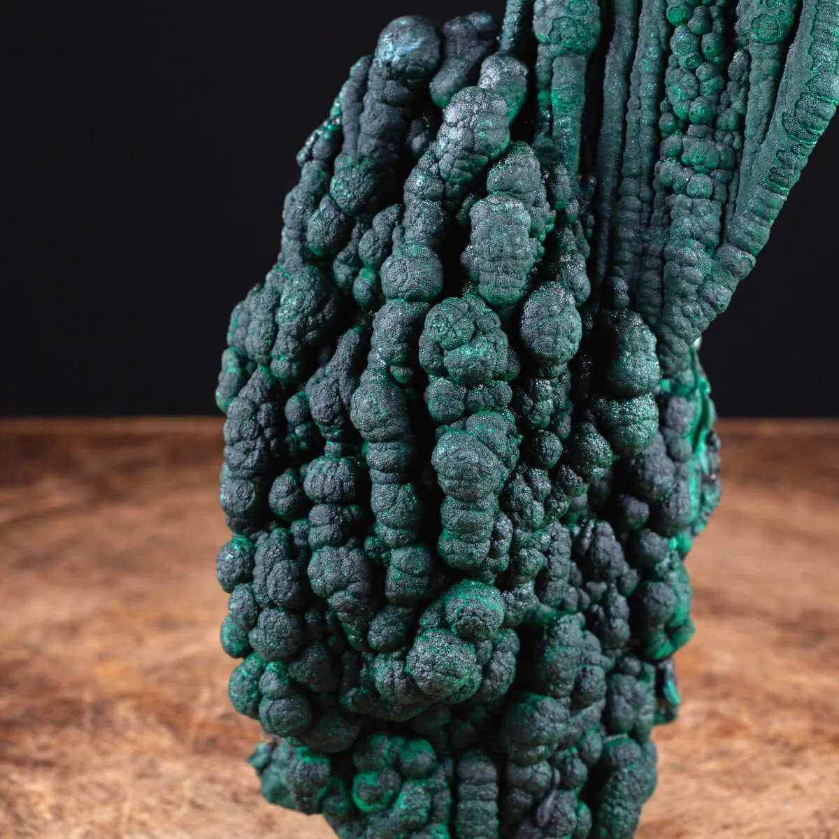 Eccezionale Malachite Botroidale con Crescita a Stalattiti.