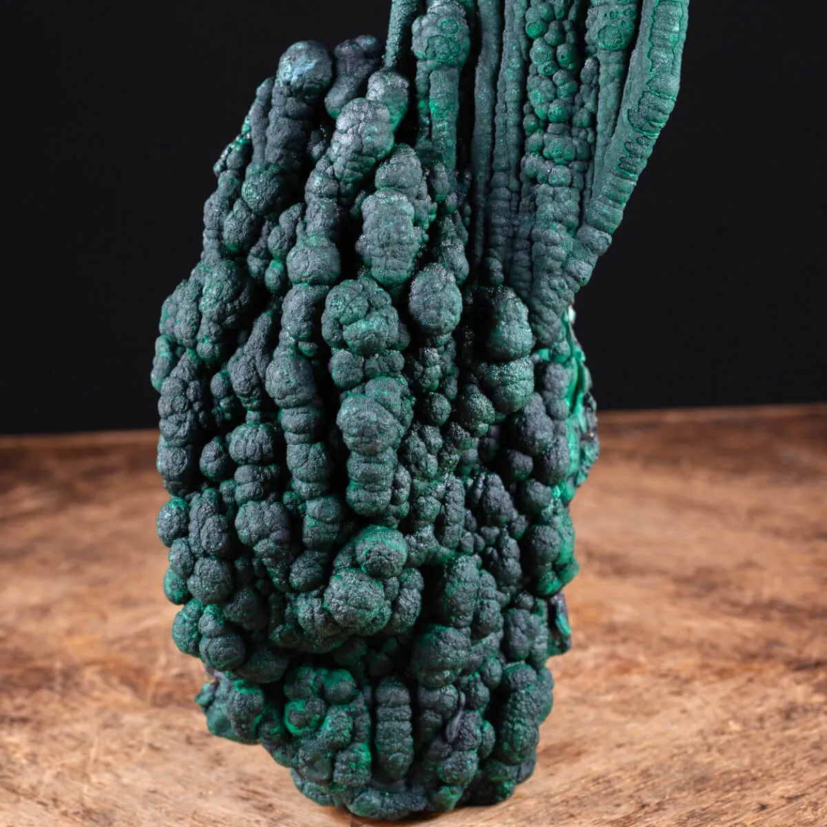 Eccezionale Malachite Botroidale con Crescita a Stalattiti.
