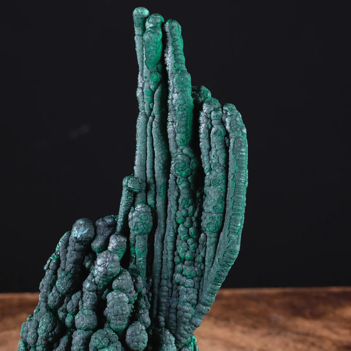 Eccezionale Malachite Botroidale con Crescita a Stalattiti.
