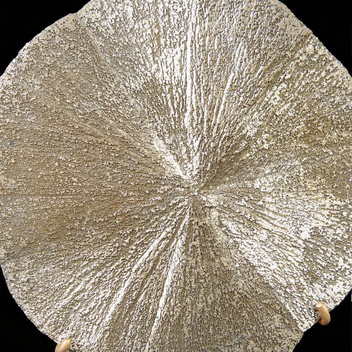 Pirite Sun – Formazione naturale su base decorativa.