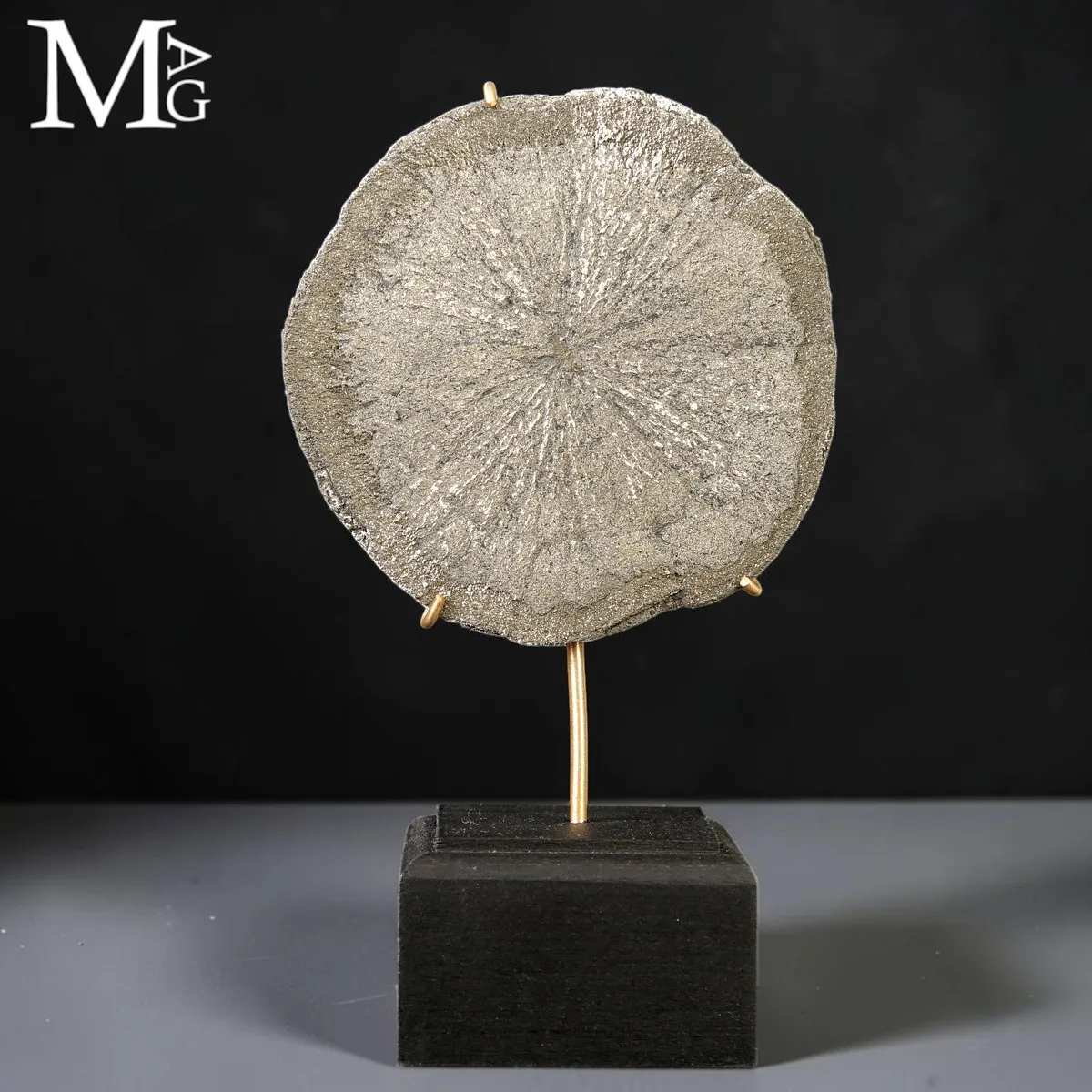 Pirite Sun – Formazione Discoidale di Pirite – Sparta, Illinois, USA.