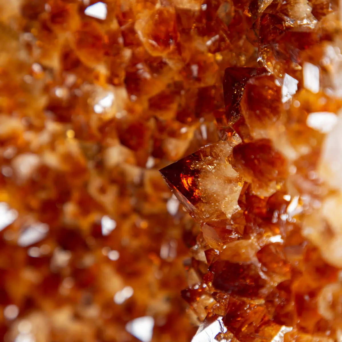 Geode di Quarzo Citrino
