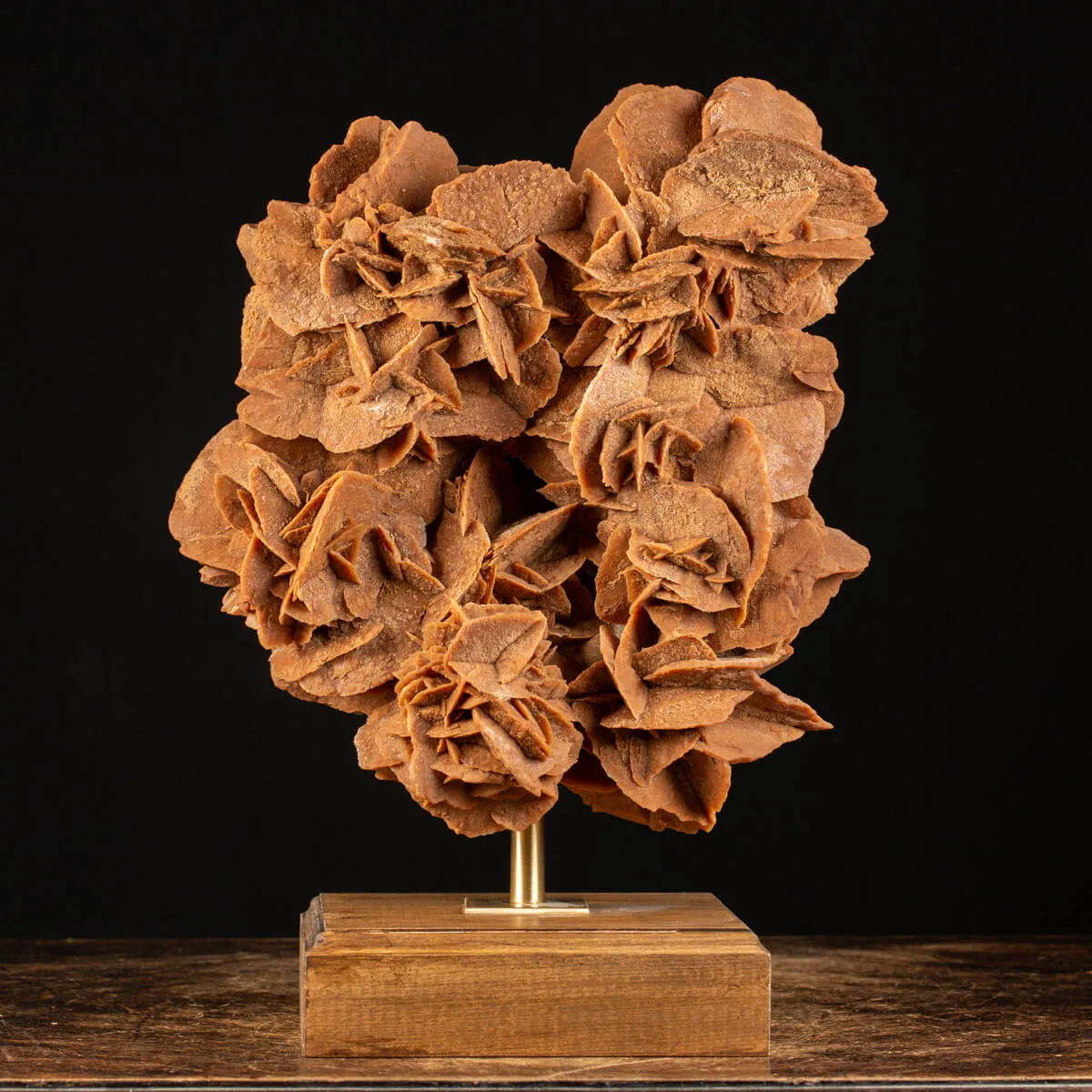 Rosa del Deserto