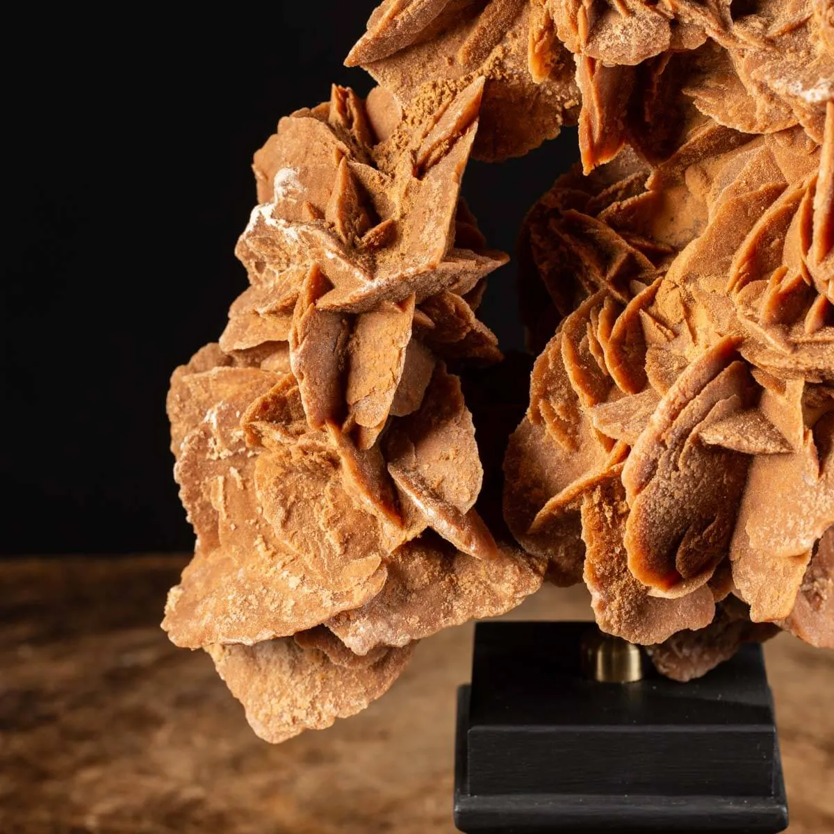 Rosa del Deserto su base di legno