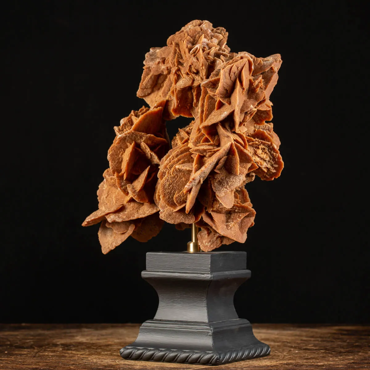 Rosa del Deserto su base di legno