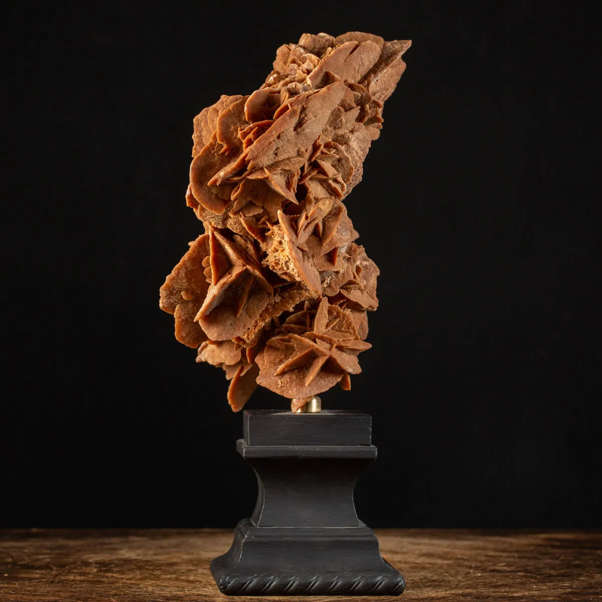 Rosa del Deserto su base di legno