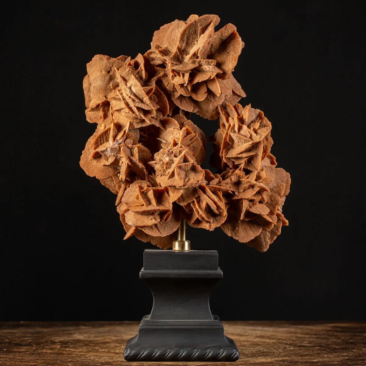 Rosa del Deserto su base di legno