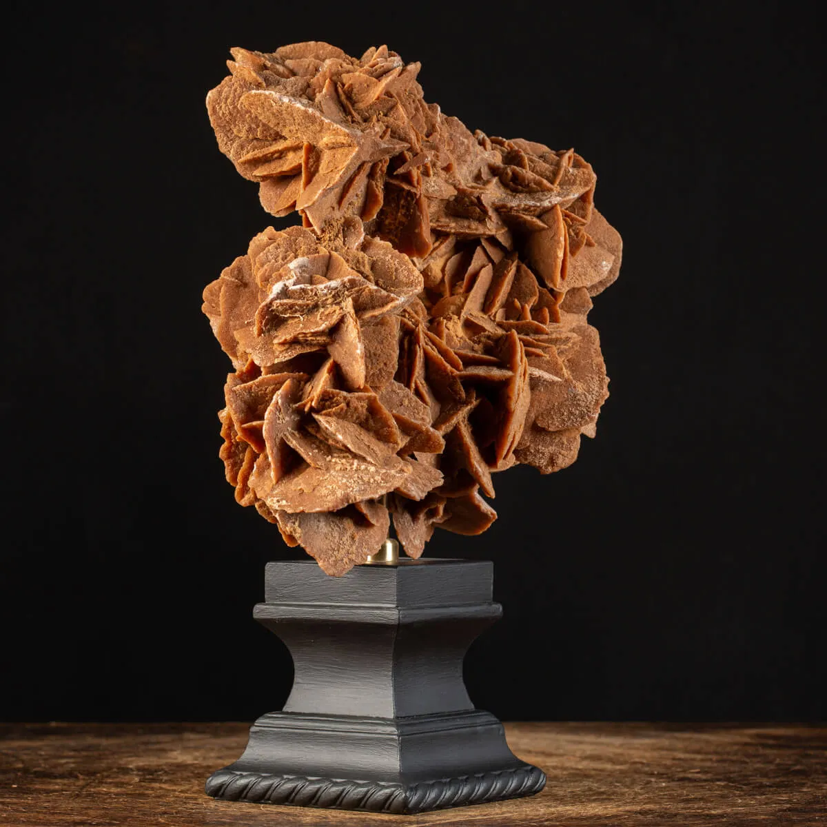 Rosa del Deserto su base di legno