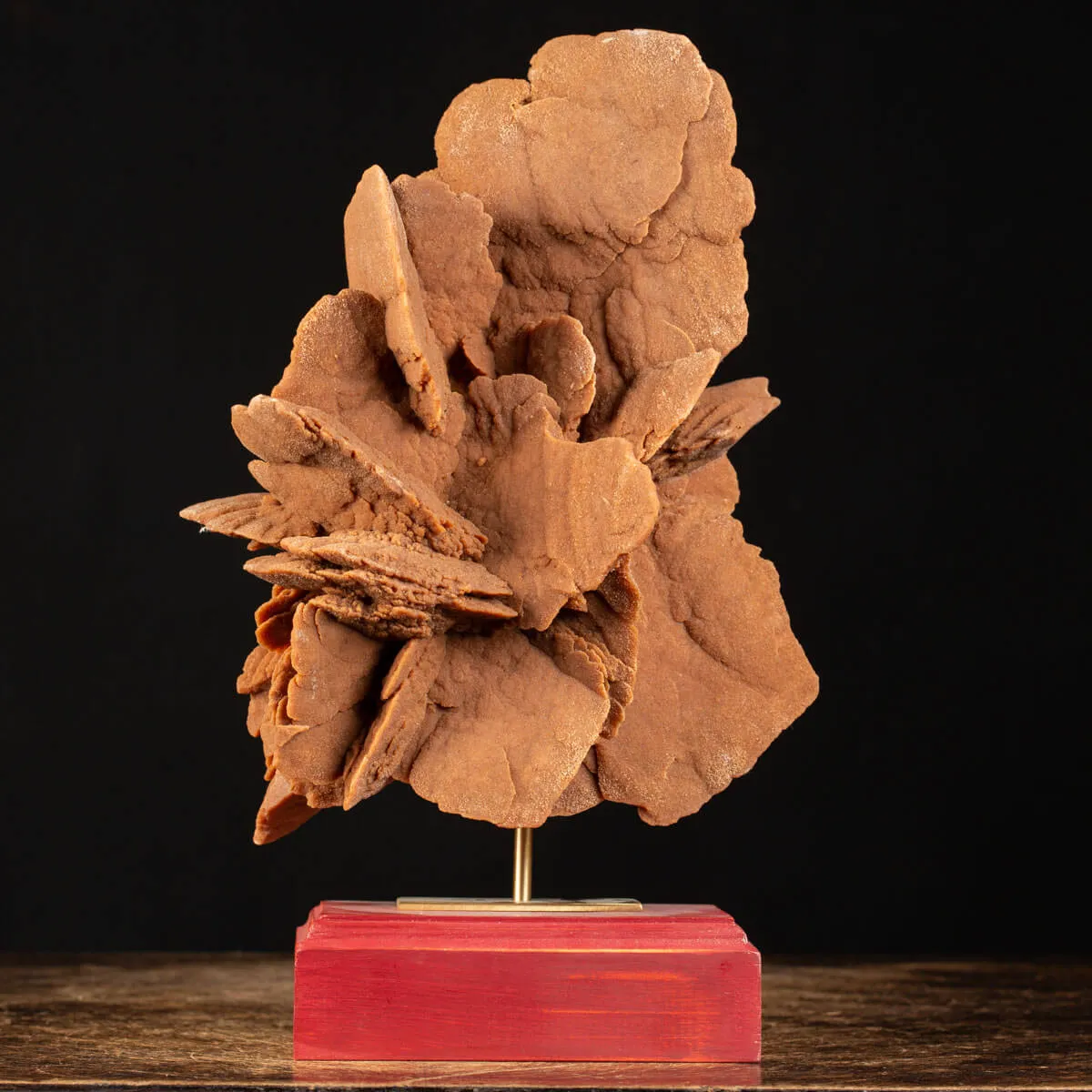 Rosa del Deserto su base di legno