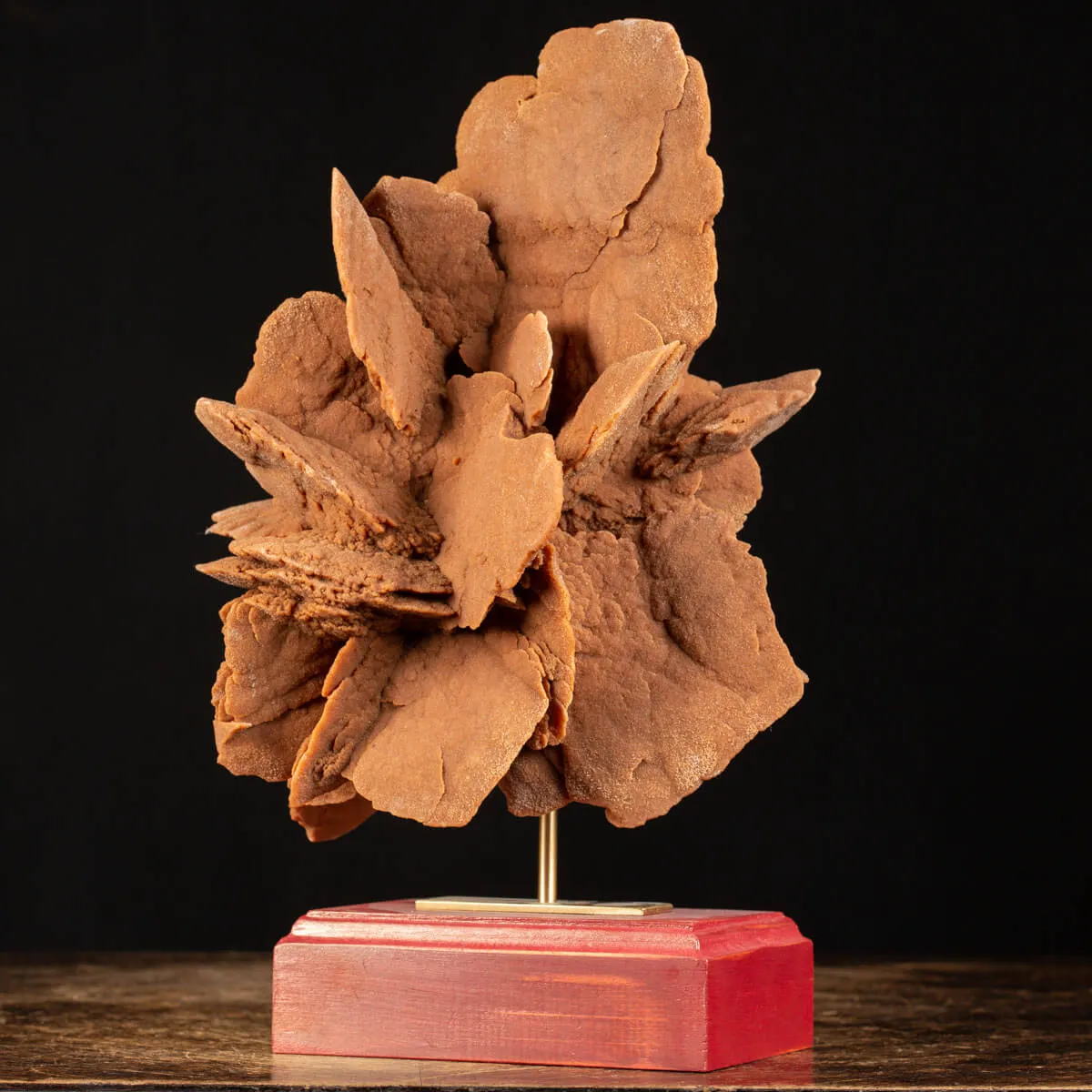 Rosa del Deserto su base di legno