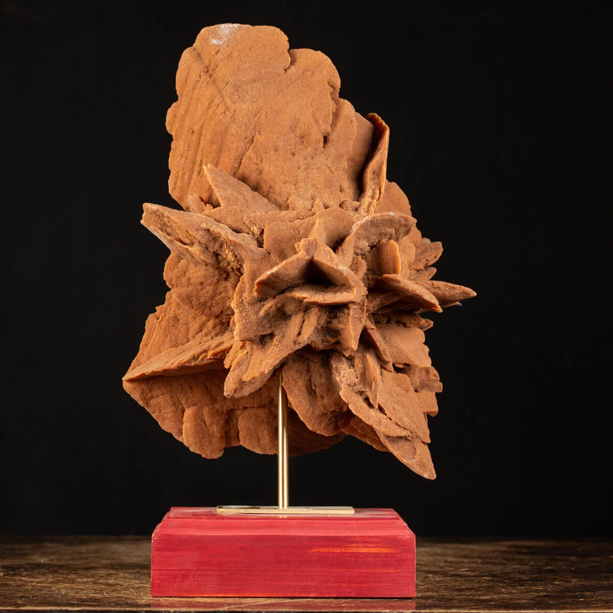 Rosa del Deserto su base di legno