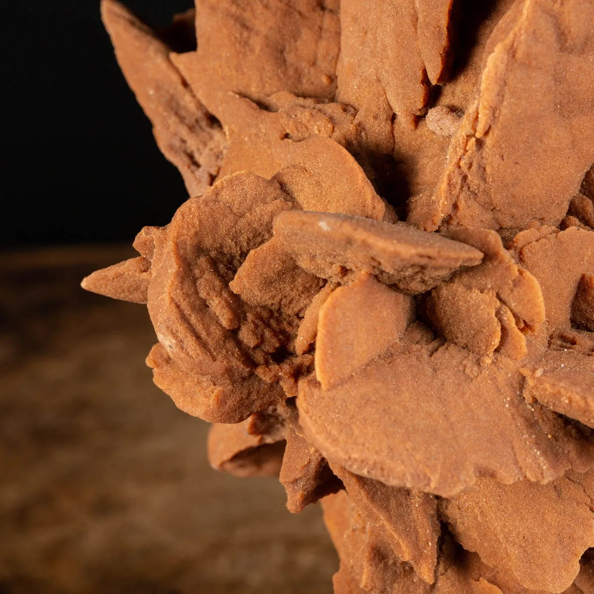 Rosa del Deserto su base di legno