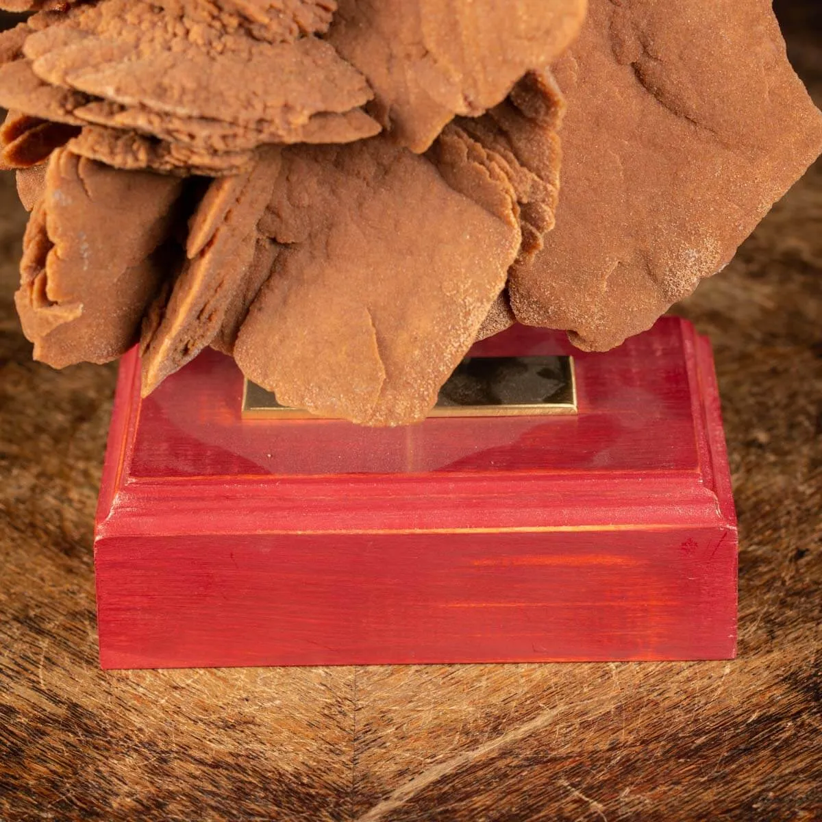 Rosa del Deserto su base di legno