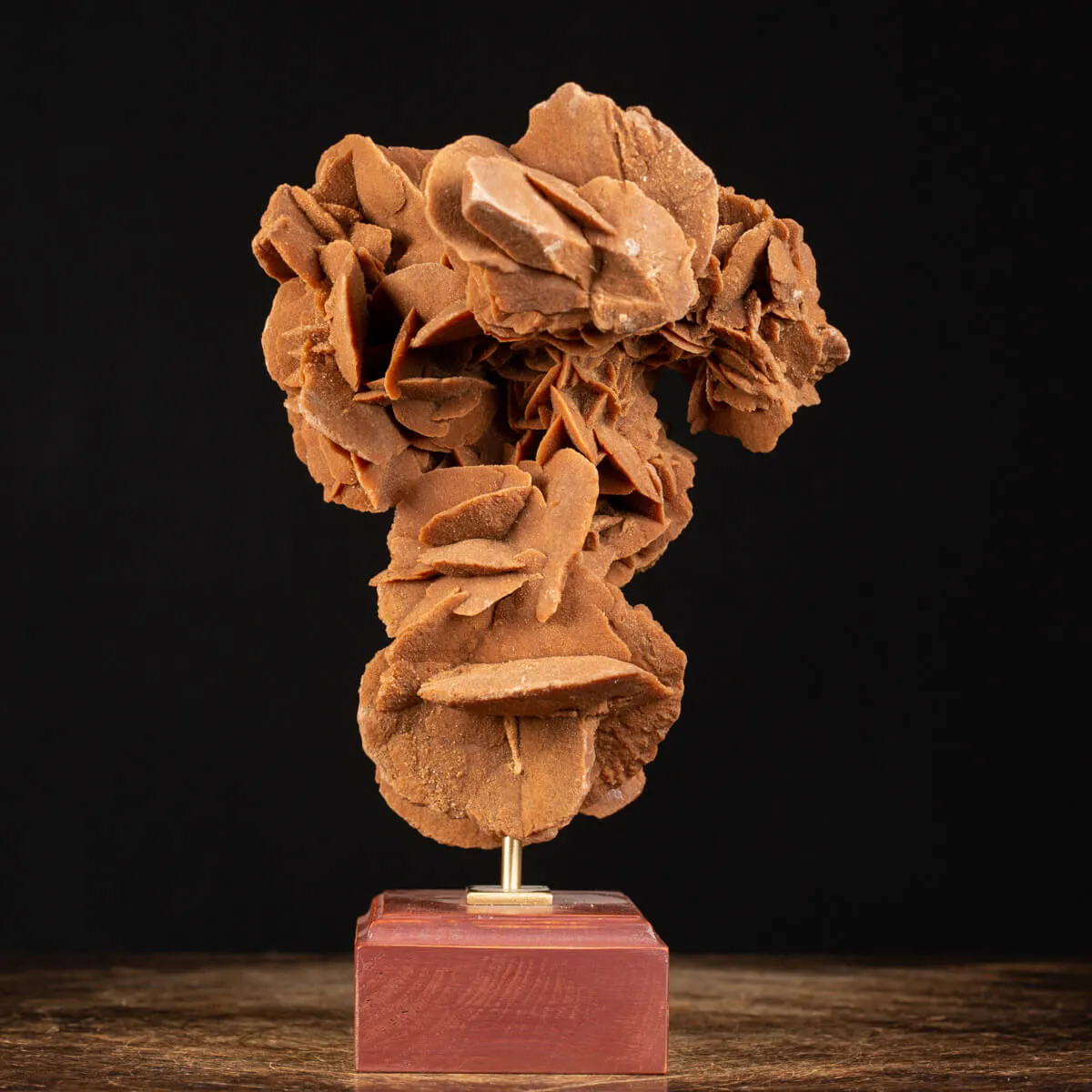 Rosa del Deserto su base di legno
