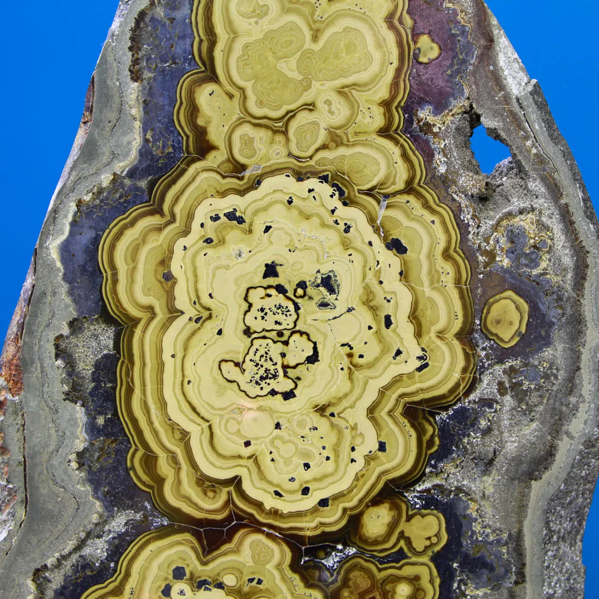 Schalenblende