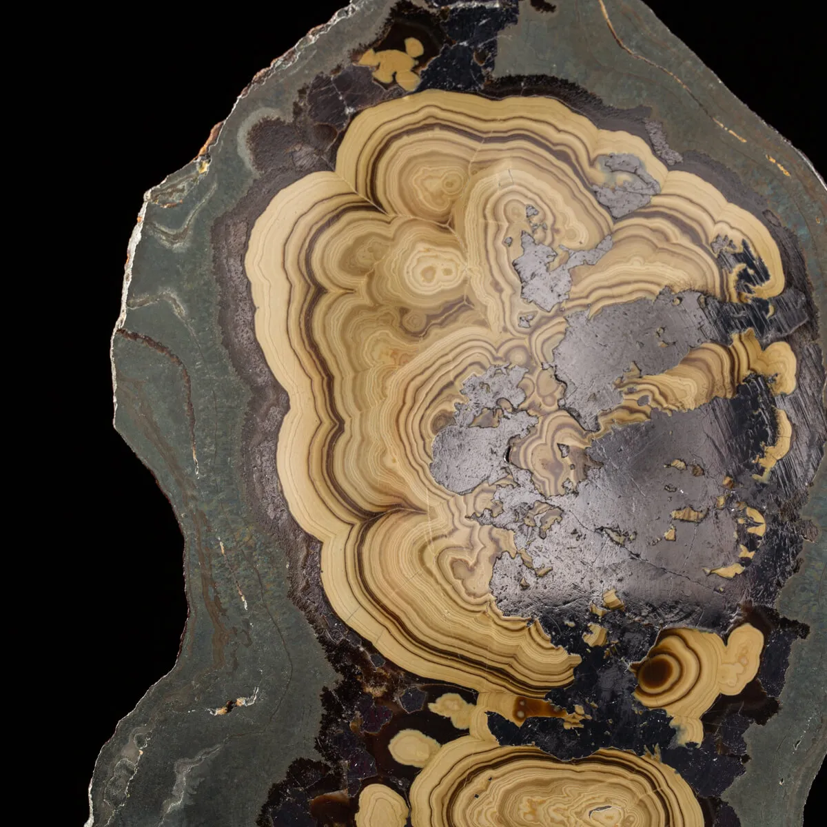 Schalenblende