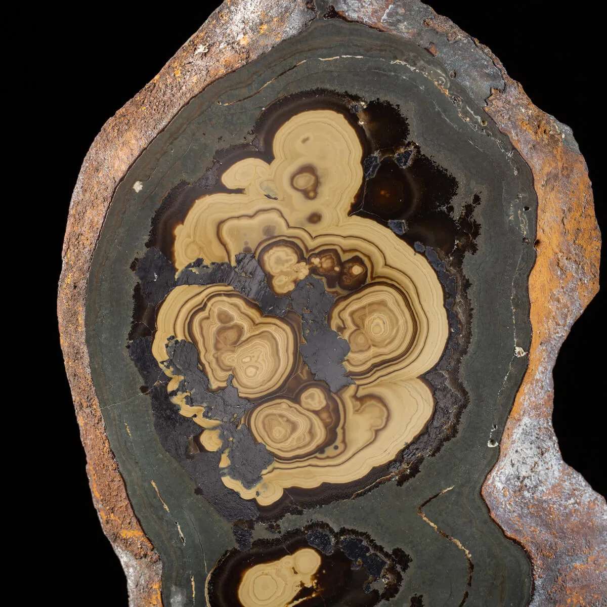 Schalenblende