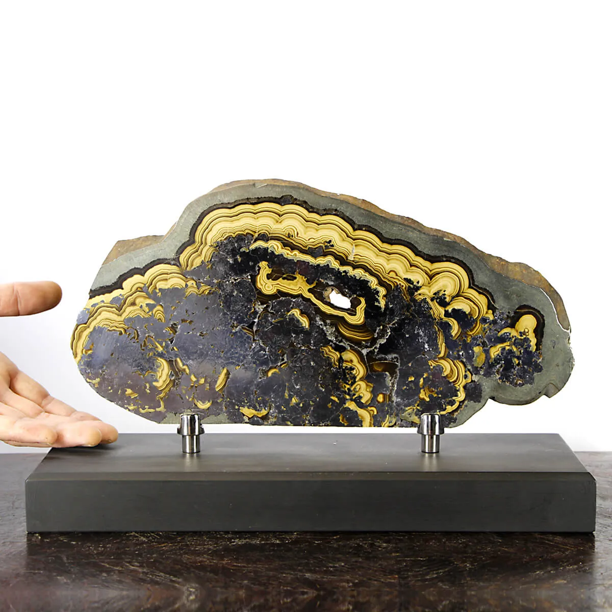 Schalenblende