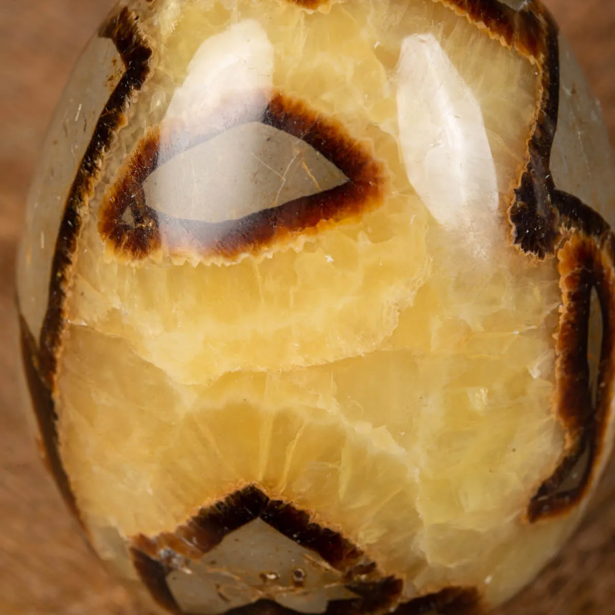 Uovo di Septaria con cristallo di Aragonite