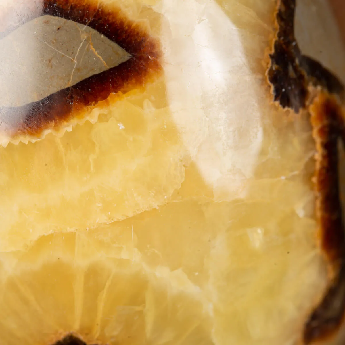 Uovo di Septaria con cristallo di Aragonite