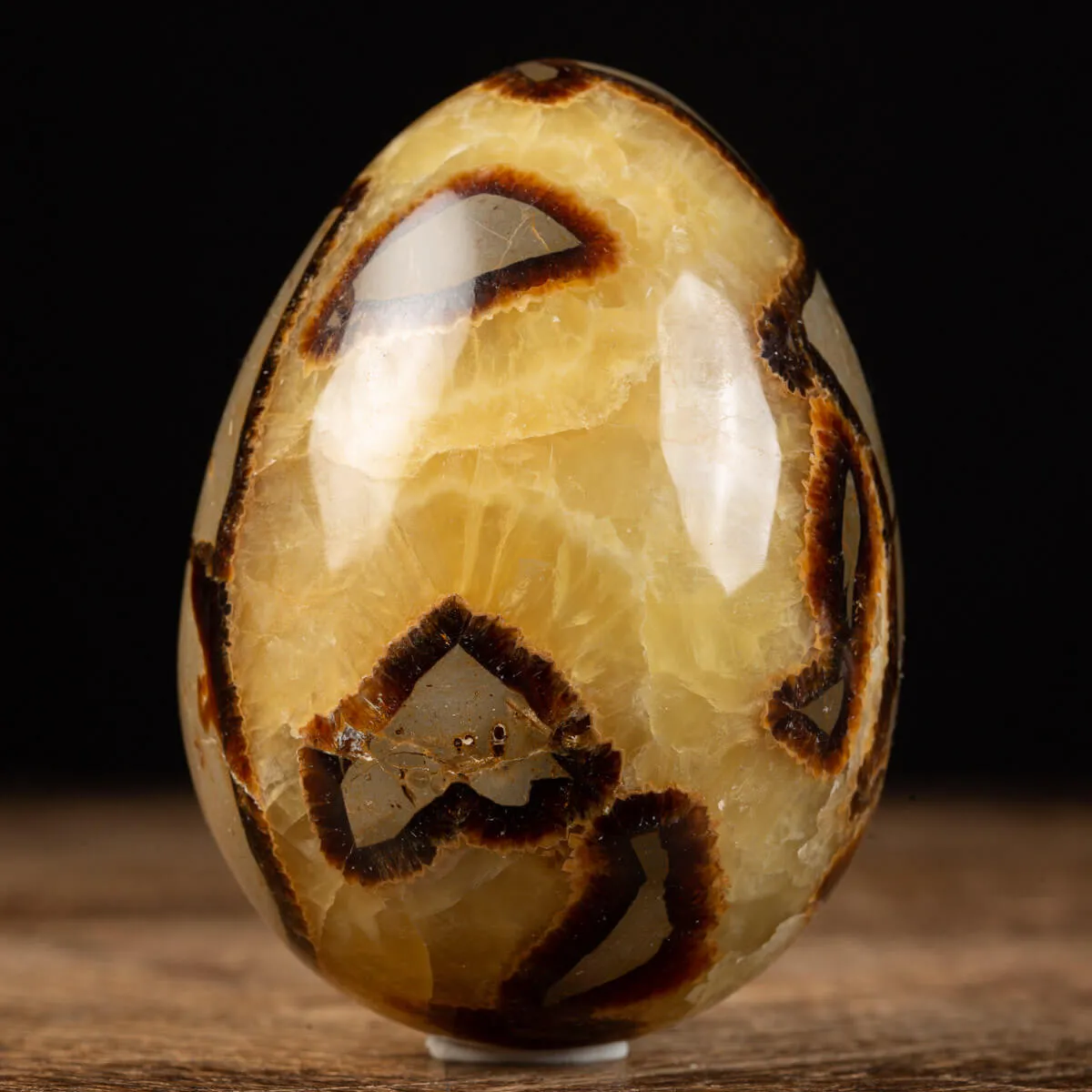 Uovo di Septaria con cristallo di Aragonite