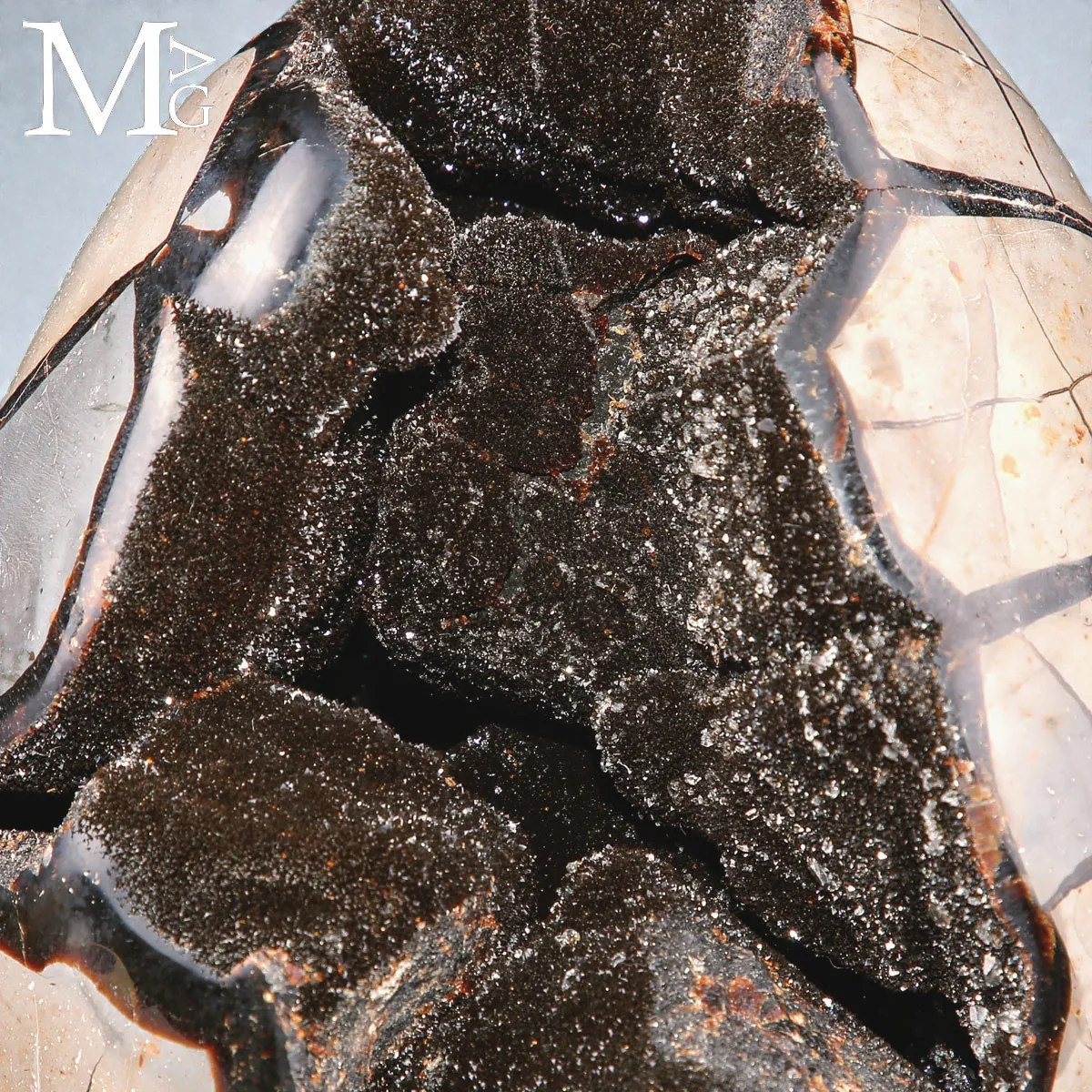 Uovo in Septaria con geode Cristallizzato