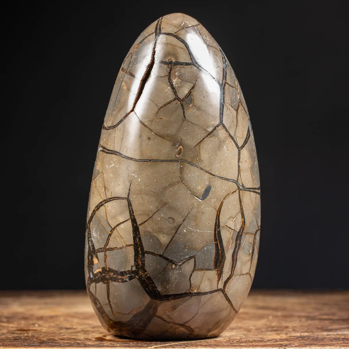 Septaria