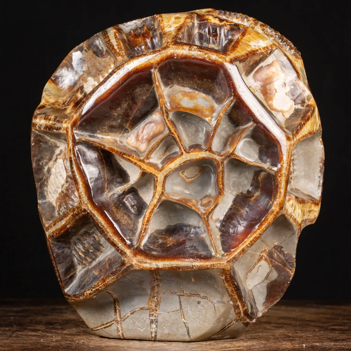 Septaria
